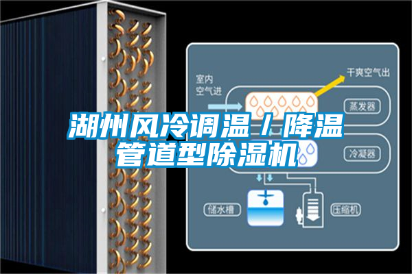 湖州風(fēng)冷調(diào)溫/降溫管道型除濕機(jī)