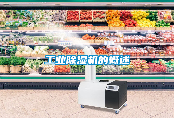 工業除濕機的概述