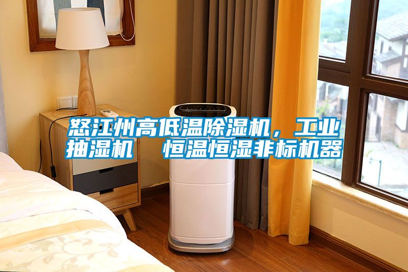 怒江州高低溫除濕機,工業(yè)抽濕機 恒溫恒濕非標(biāo)機器