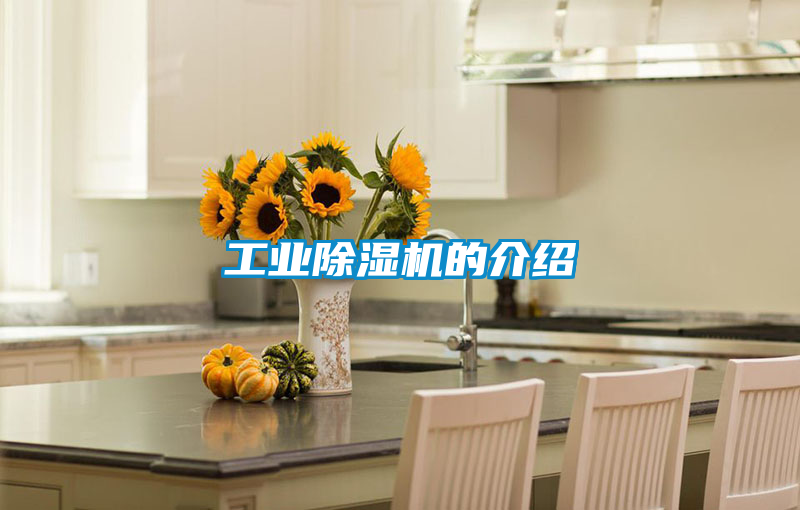 工業除濕機的介紹
