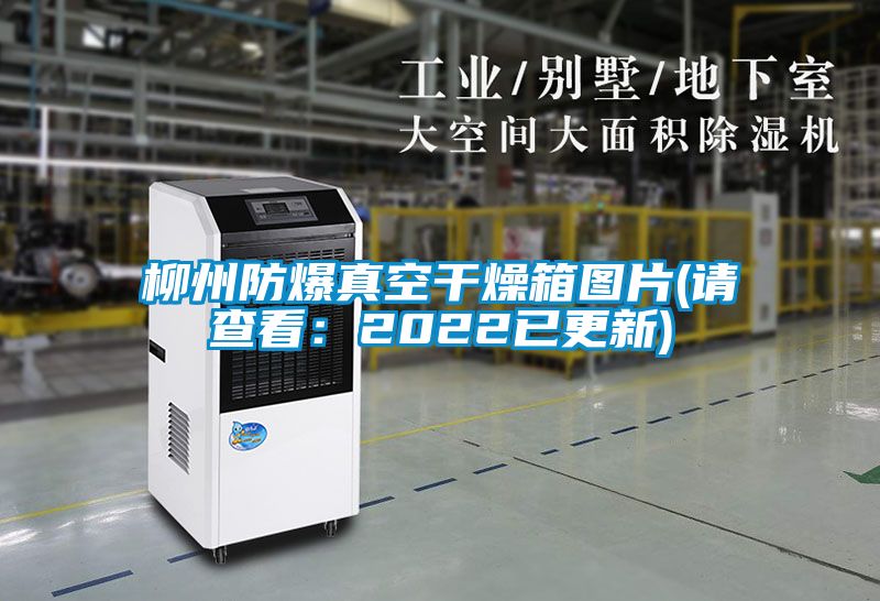 柳州防爆真空干燥箱圖片(請查看:2022已更新)