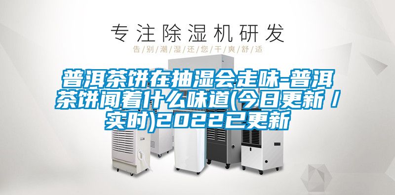 普洱茶餅在抽濕會走味-普洱茶餅聞著什么味道(今日更新／實(shí)時(shí))2022已更新