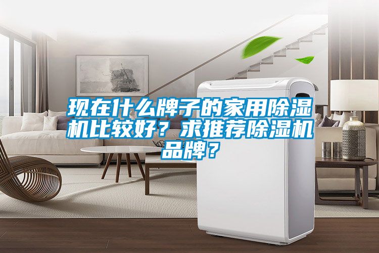 現在什么牌子的家用除濕機比較好？求推薦除濕機品牌？