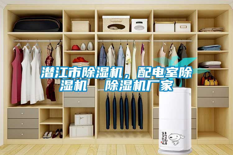 潛江市除濕機，配電室除濕機  除濕機廠家