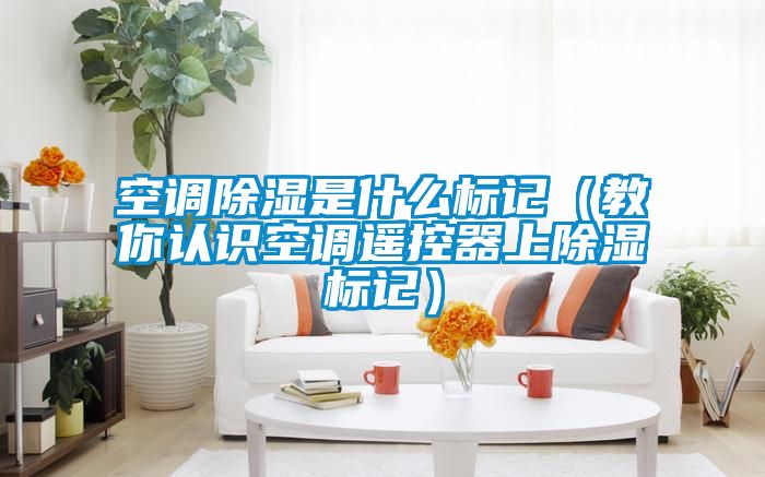 空調(diào)除濕是什么標(biāo)記(教你認(rèn)識空調(diào)遙控器上除濕標(biāo)記)
