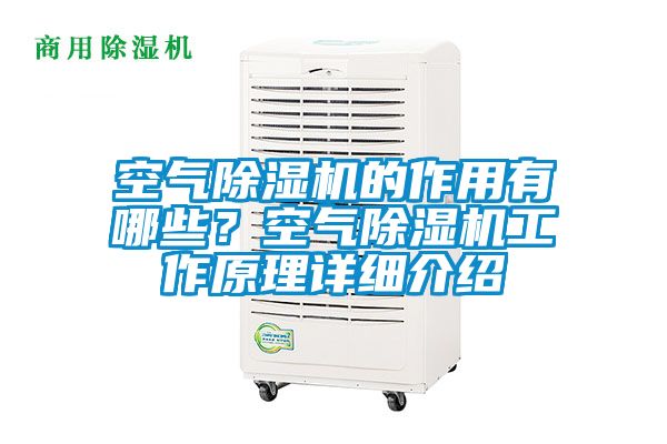 空氣除濕機的作用有哪些？空氣除濕機工作原理詳細介紹