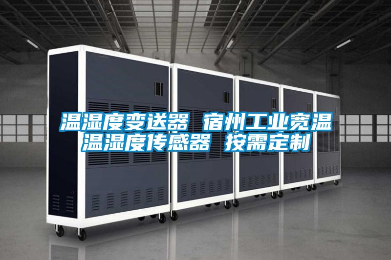 溫濕度變送器 宿州工業寬溫溫濕度傳感器 按需定制
