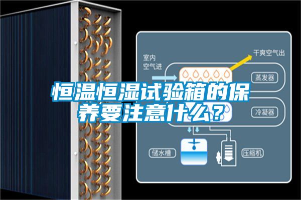 恒溫恒濕試驗箱的保養要注意什么?