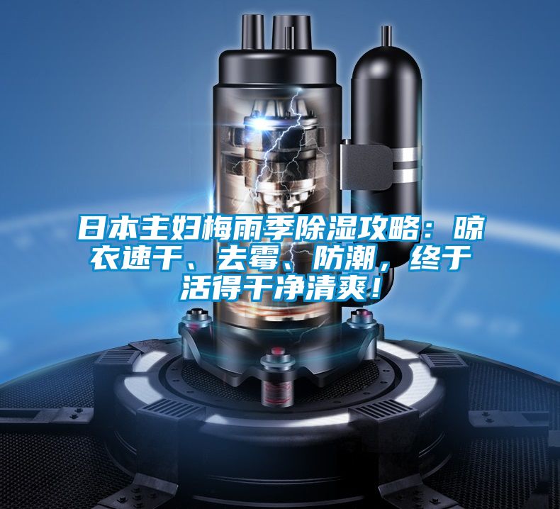 日本主婦梅雨季除濕攻略：晾衣速干、去霉、防潮，終于活得干凈清爽！