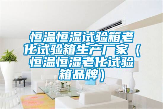 恒溫恒濕試驗箱老化試驗箱生產廠家(恒溫恒濕老化試驗箱品牌)