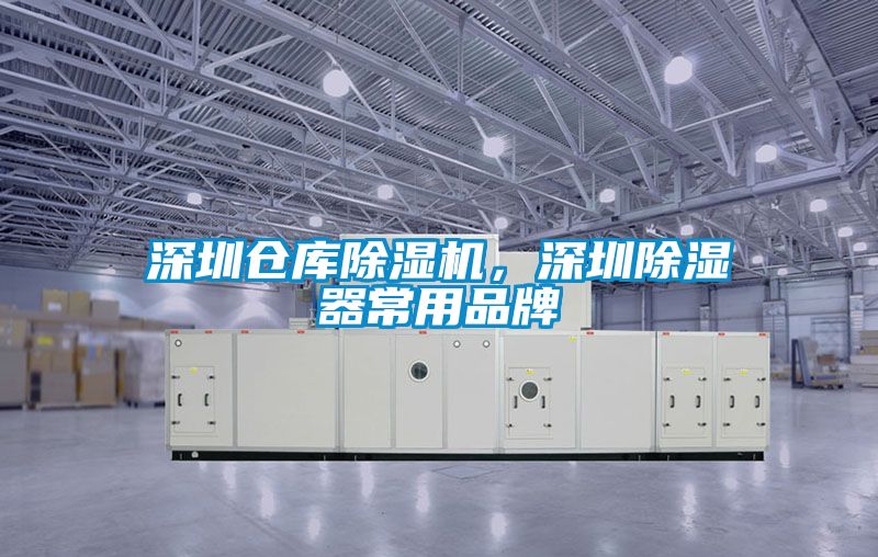 深圳倉庫除濕機,深圳除濕器常用品牌