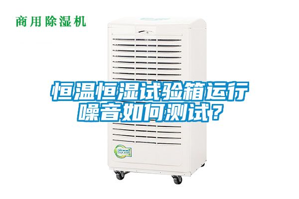 恒溫恒濕試驗箱運行噪音如何測試?
