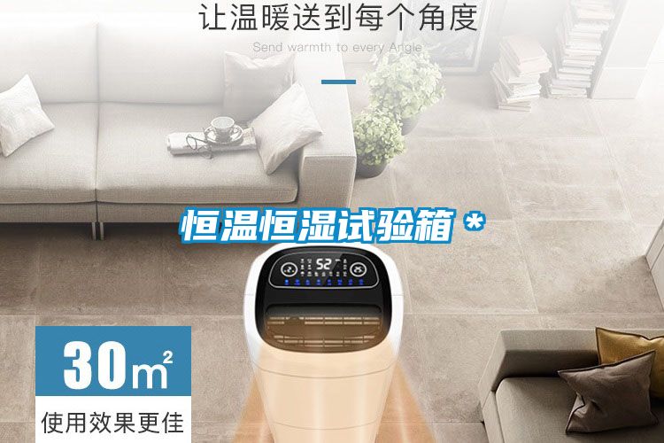 恒溫恒濕試驗箱*