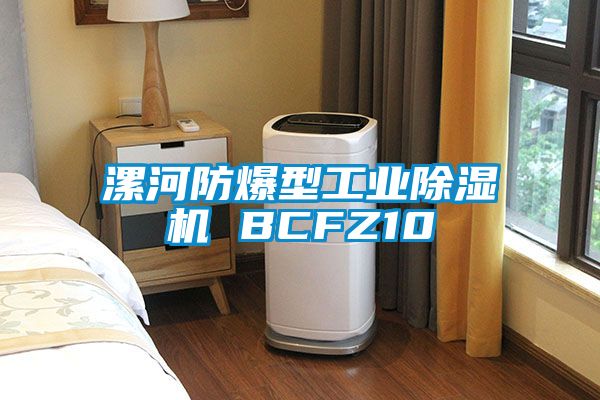 漯河防爆型工業除濕機 BCFZ10