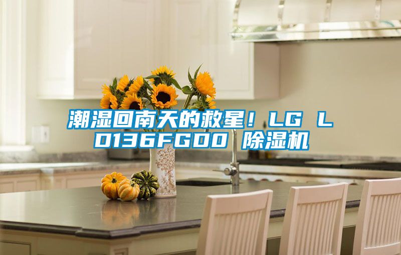 潮濕回南天的救星!LG LD136FGD0 除濕機