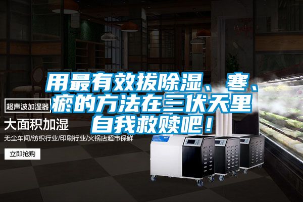 用最有效拔除濕、寒、瘀的方法在三伏天里自我救贖吧!