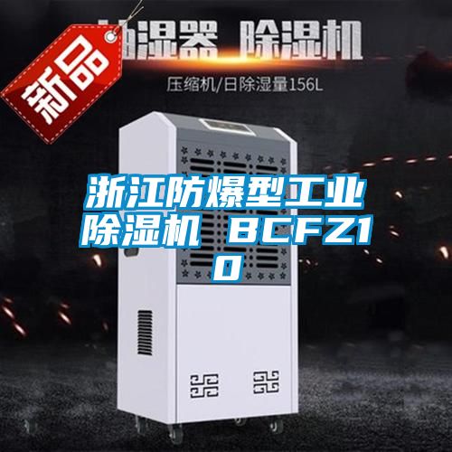 浙江防爆型工業除濕機 BCFZ10