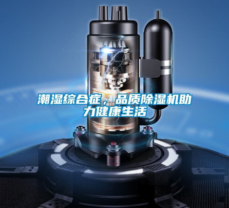 潮濕綜合癥,品質(zhì)除濕機(jī)助力健康生活