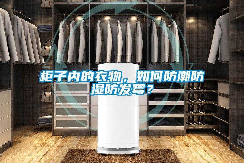 柜子內的衣物，如何防潮防濕防發霉？