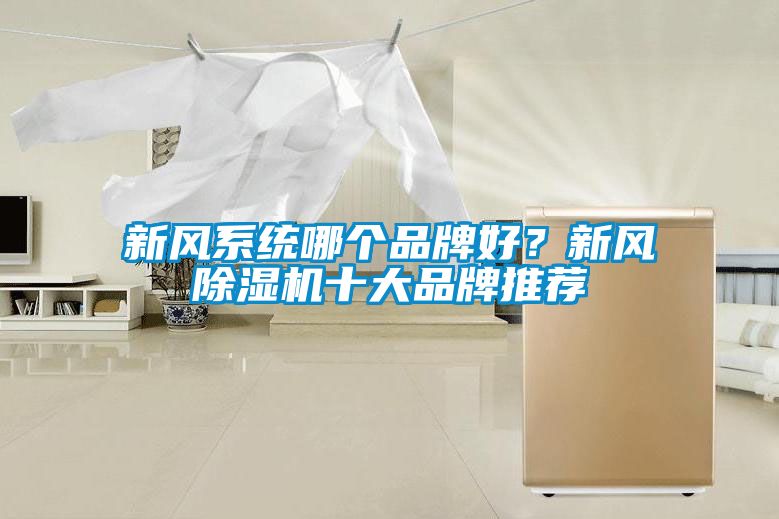新風系統哪個品牌好?新風除濕機十大品牌推薦
