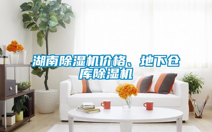 湖南除濕機價格、地下倉庫除濕機