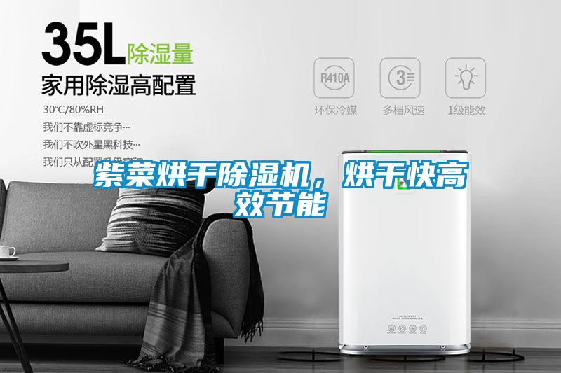 紫菜烘干除濕機,烘干快高效節能