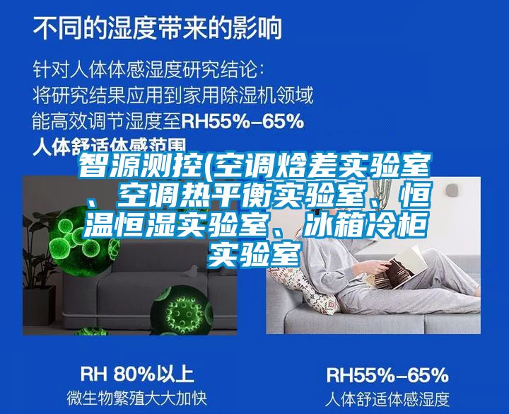 智源測控(空調焓差實驗室、空調熱平衡實驗室、恒溫恒濕實驗室、冰箱冷柜實驗室