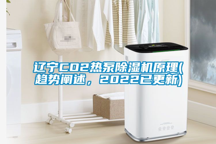 遼寧CO2熱泵除濕機(jī)原理(趨勢(shì)闡述,2022已更新)