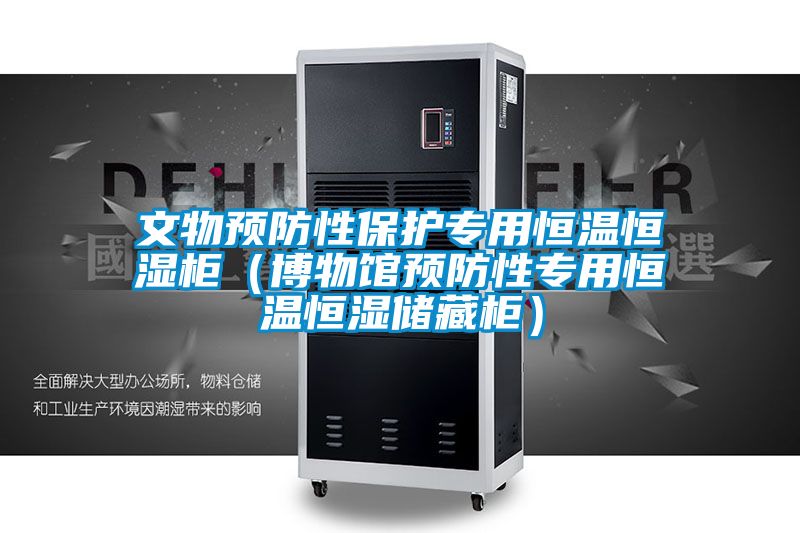 文物預(yù)防性保護(hù)專用恒溫恒濕柜(博物館預(yù)防性專用恒溫恒濕儲(chǔ)藏柜)