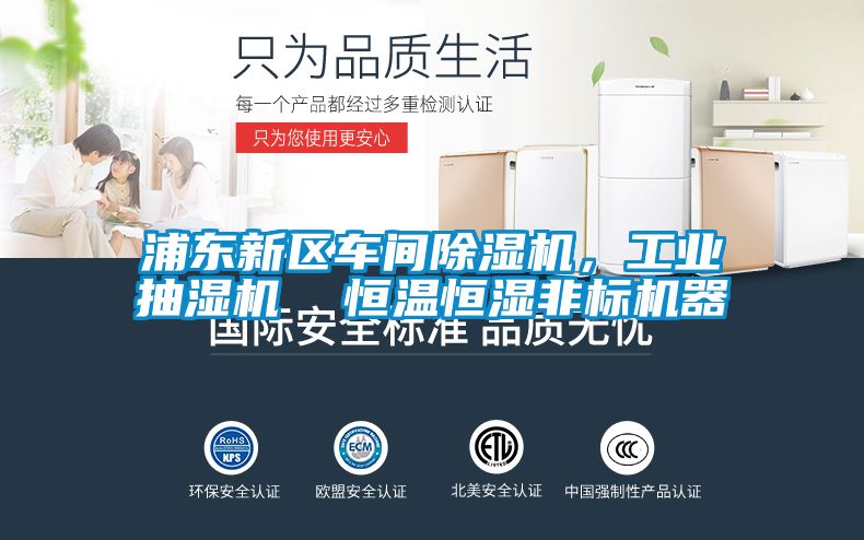 浦東新區(qū)車間除濕機(jī)，工業(yè)抽濕機(jī)  恒溫恒濕非標(biāo)機(jī)器
