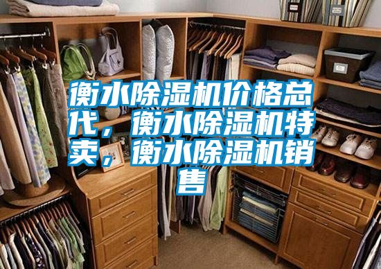 衡水除濕機價格總代,衡水除濕機特賣,衡水除濕機銷售