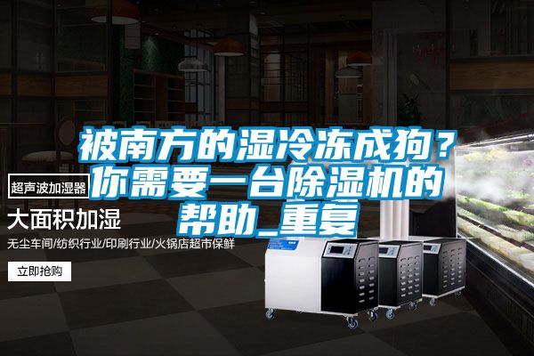 被南方的濕冷凍成狗?你需要一臺除濕機的幫助_重復