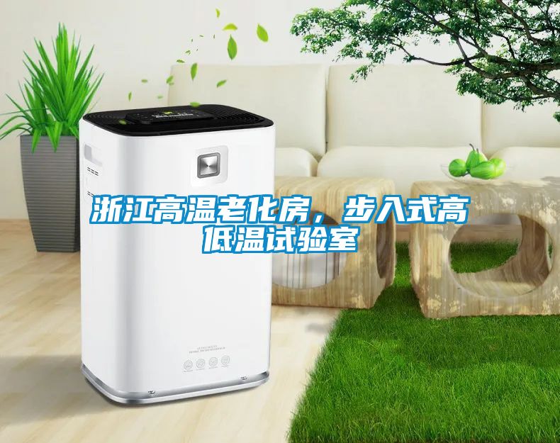 浙江高溫老化房,步入式高低溫試驗室