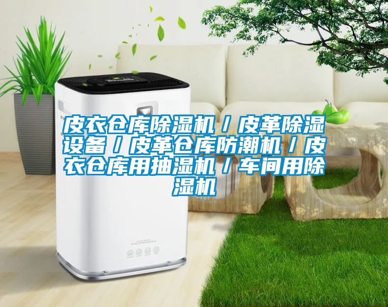 皮衣倉庫除濕機/皮革除濕設備/皮革倉庫防潮機/皮衣倉庫用抽濕機/車間用除濕機