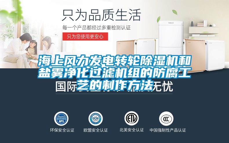 海上風力發電轉輪除濕機和鹽霧凈化過濾機組的防腐工藝的制作方法