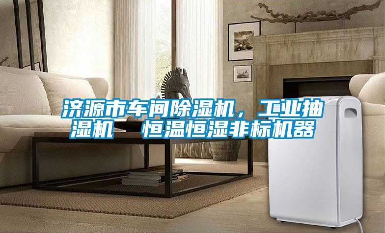 濟源市車間除濕機,工業抽濕機 恒溫恒濕非標機器
