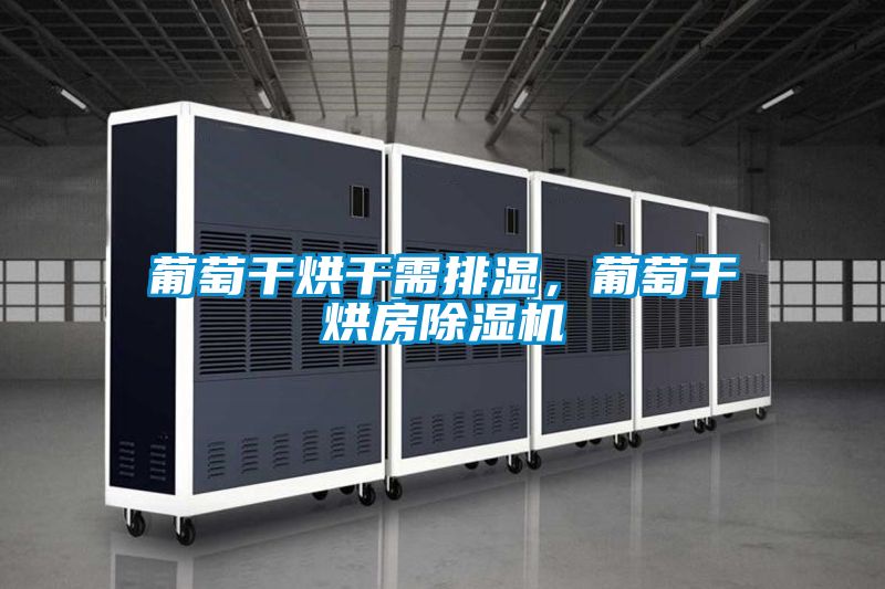 葡萄干烘干需排濕,葡萄干烘房除濕機