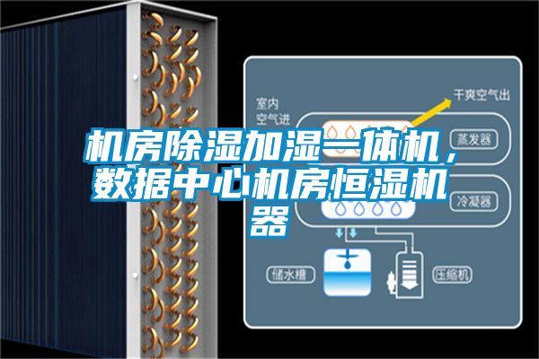 機房除濕加濕一體機，數據中心機房恒濕機器