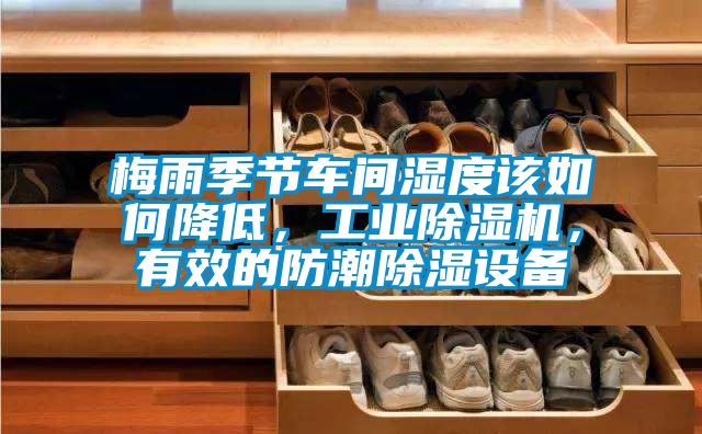 梅雨季節(jié)車間濕度該如何降低,工業(yè)除濕機,有效的防潮除濕設(shè)備