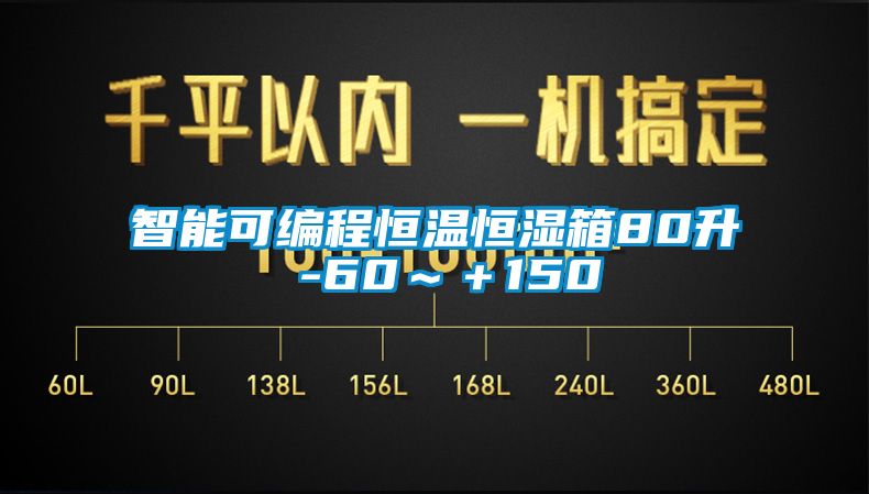 智能可編程恒溫恒濕箱80升 -60~+150℃