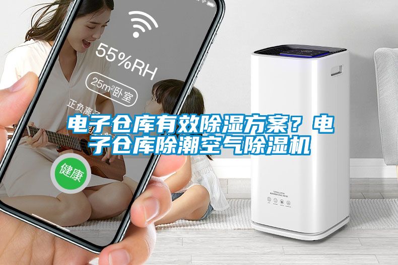 電子倉庫有效除濕方案?電子倉庫除潮空氣除濕機