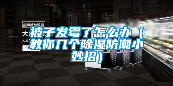 被子發(fā)霉了怎么辦(教你幾個(gè)除濕防潮小妙招)