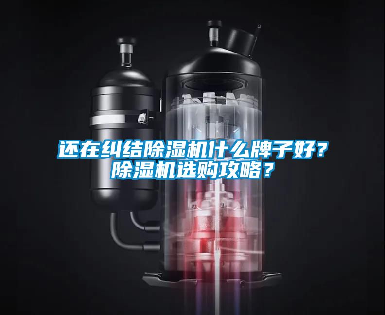 還在糾結除濕機什么牌子好?除濕機選購攻略?