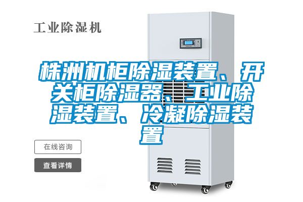 株洲機柜除濕裝置、開關柜除濕器、工業除濕裝置、冷凝除濕裝置