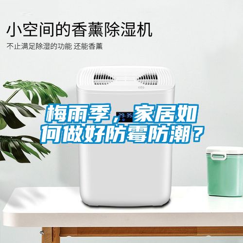 梅雨季，家居如何做好防霉防潮？
