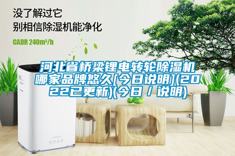 河北省橋梁鋰電轉輪除濕機哪家品牌悠久[今日說明](2022已更新)(今日／說明)