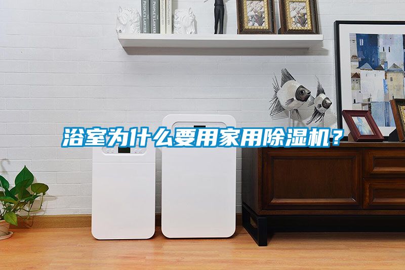 浴室為什么要用家用除濕機？