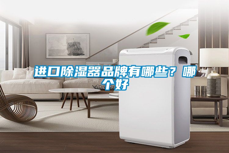 進(jìn)口除濕器品牌有哪些？哪個(gè)好