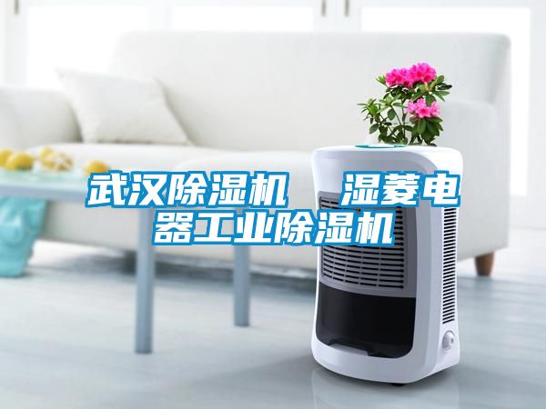 武漢除濕機 濕菱電器工業除濕機