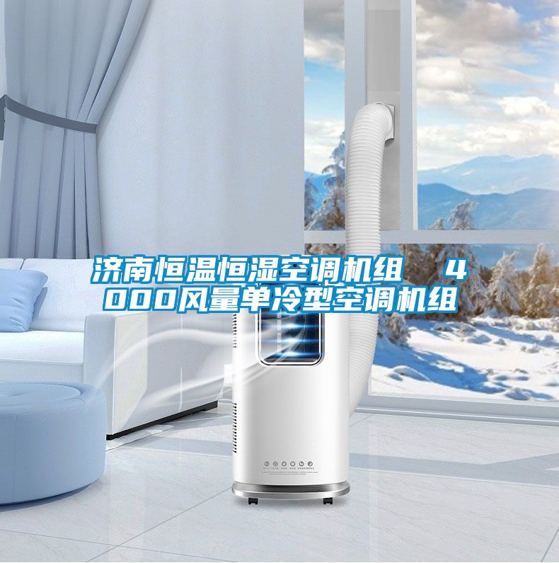 濟南恒溫恒濕空調(diào)機組  4000風(fēng)量單冷型空調(diào)機組